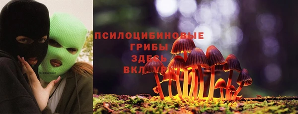 первитин Бородино