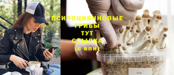 сатива Бугульма