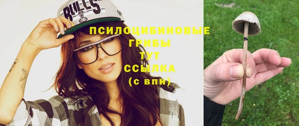 сатива Бугульма