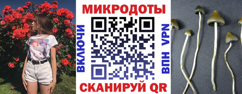 Псилоцибиновые грибы мухоморы  shop клад  Дигора 